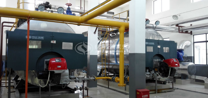 孫橋現(xiàn)代農(nóng)業(yè)園區(qū)2.8MW燃氣熱水鍋爐項目